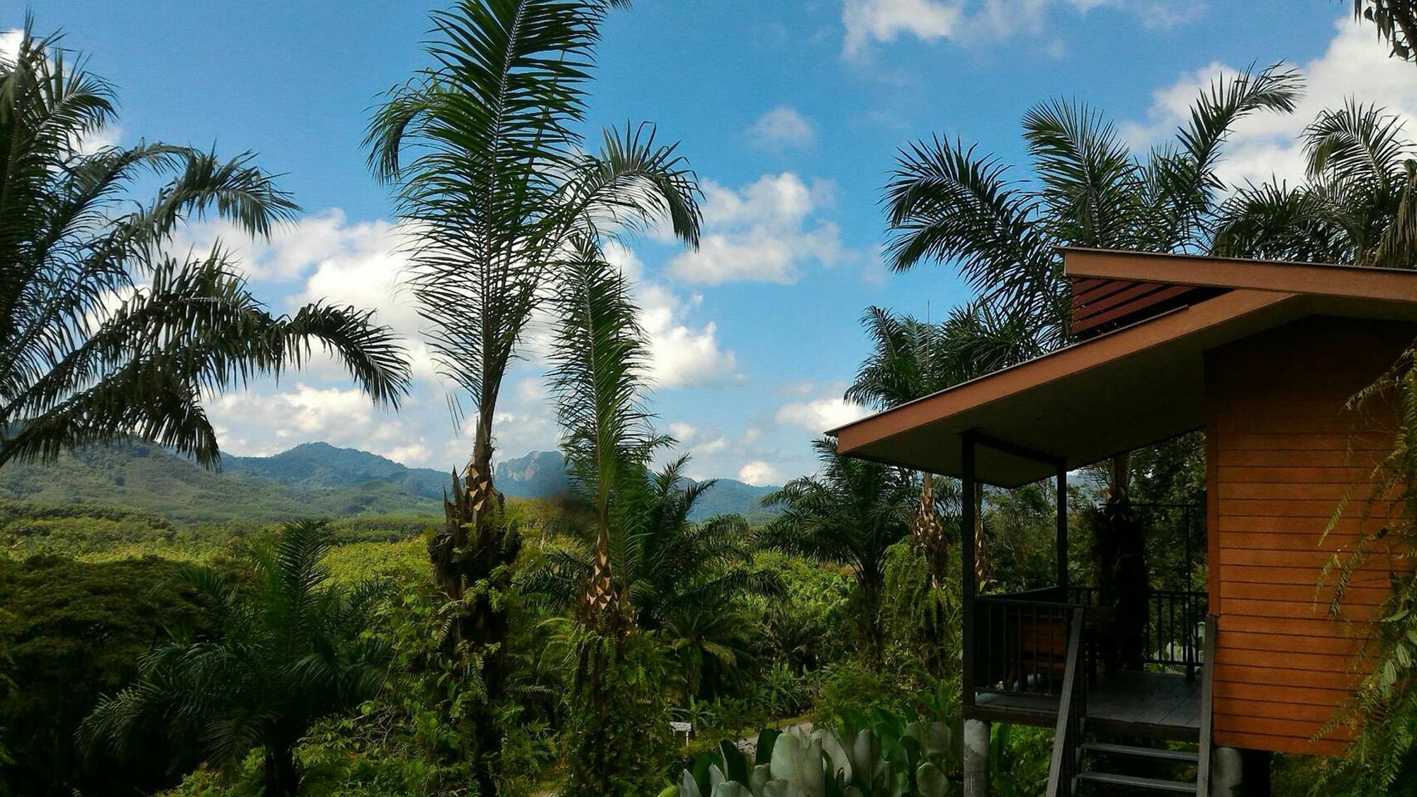 Khao Sok Horizon Hotel Phanom Exterior foto